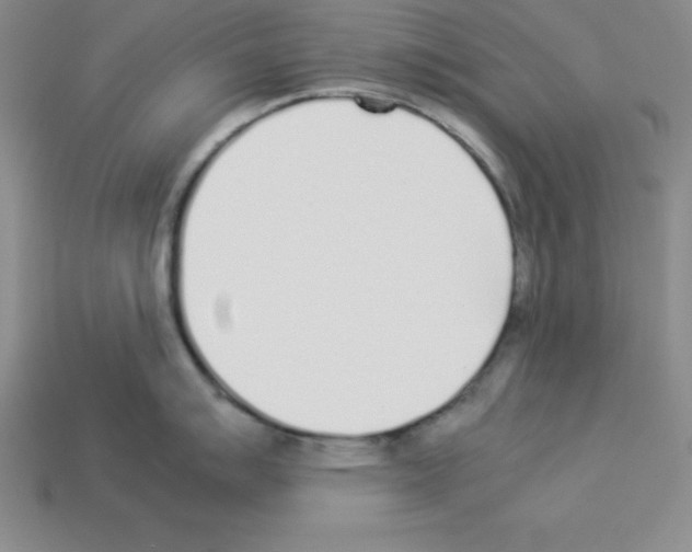 X0000112871007200910021328