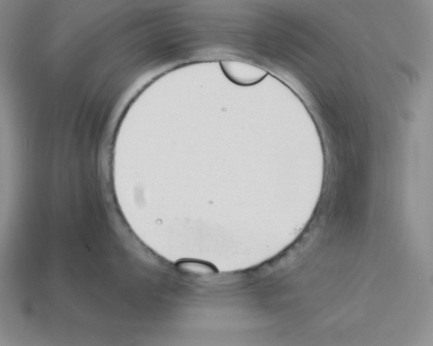 X0000112871008200910021328