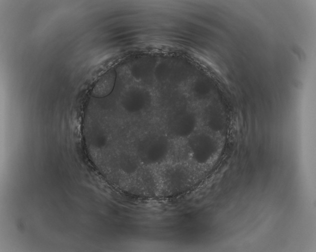 X0000112871013200910021328