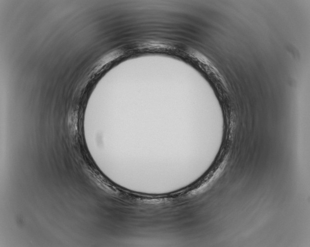 X0000112871017200910021328