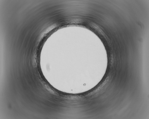 X0000112871018200910021328