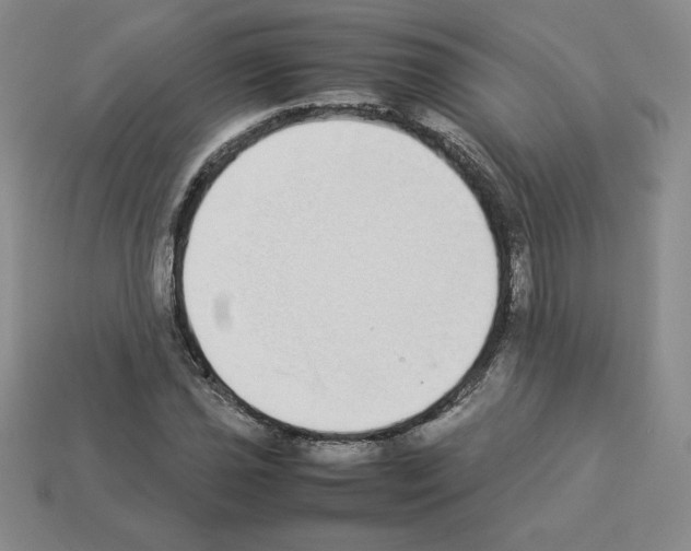 X0000112871021200910021328