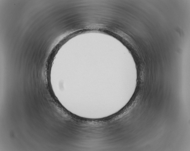 X0000112871022200910021328