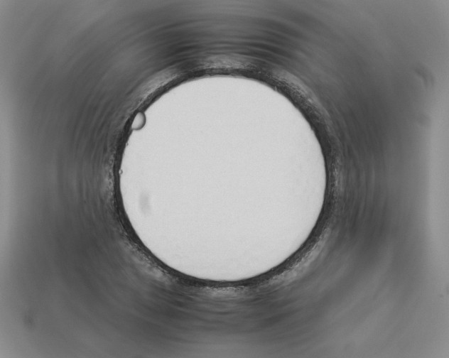 X0000112871025200910021328