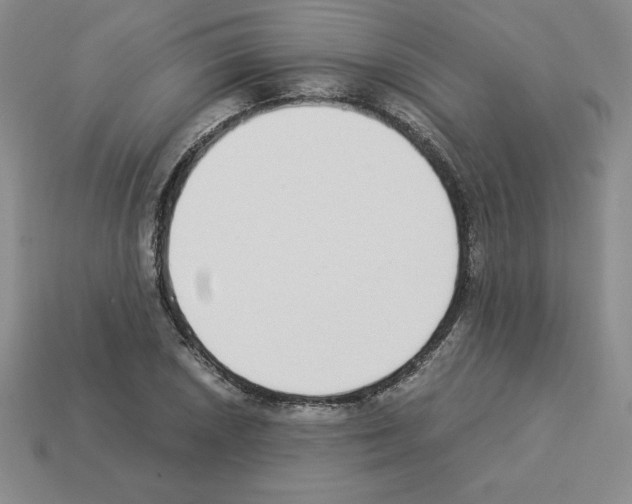 X0000112871026200910021328