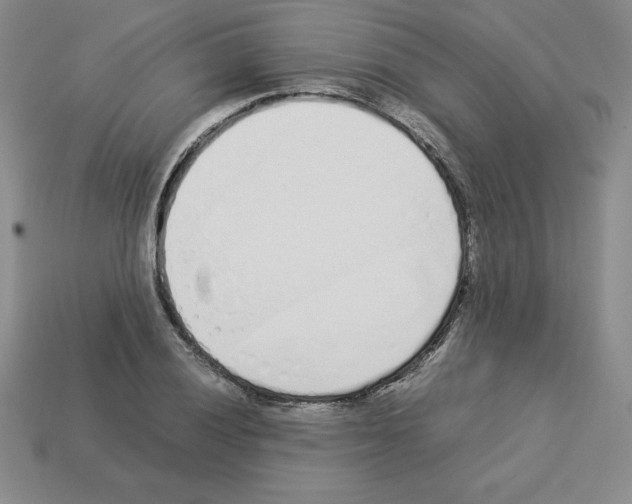 X0000112871028200910021328