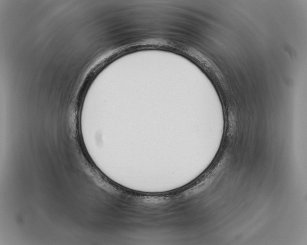 X0000112871029200910021328