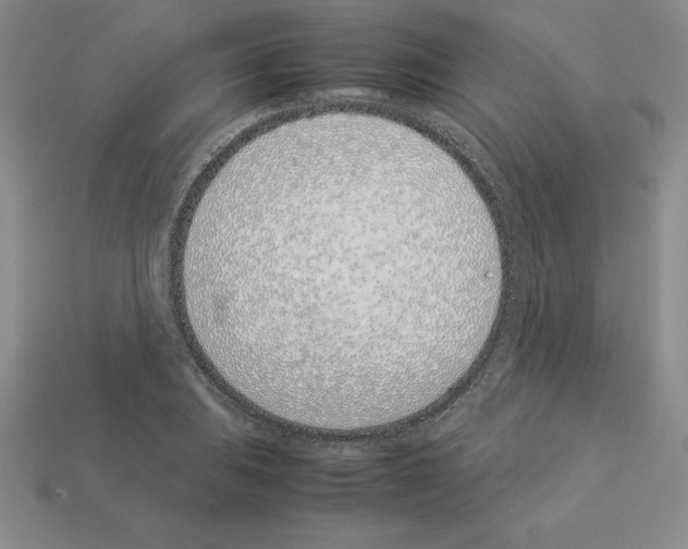 X0000112871031200910021328