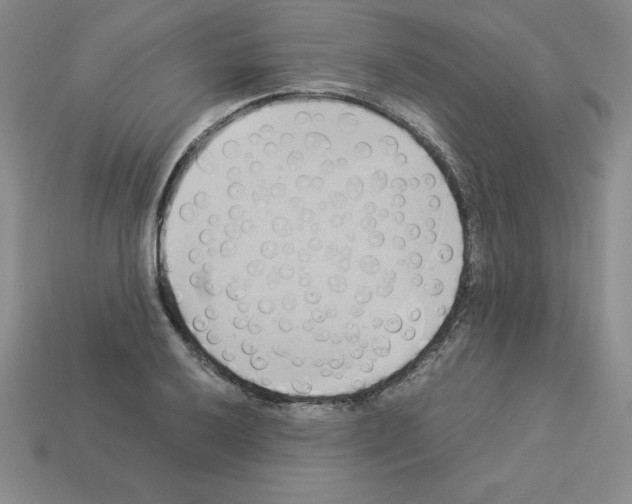 X0000112871032200910021328