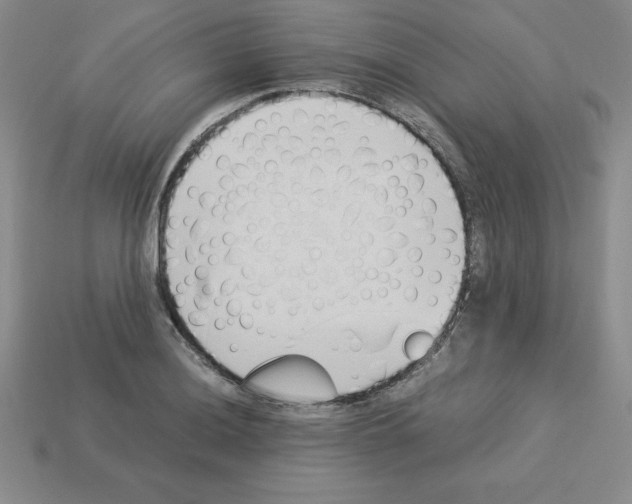 X0000112871036200910021328