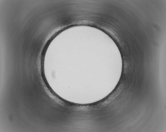 X0000112871038200910021328