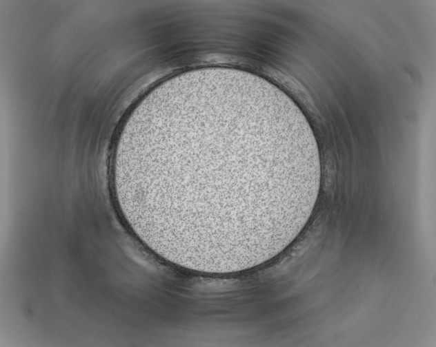 X0000112871039200910021328