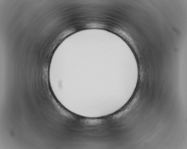 X0000112871041200910021328