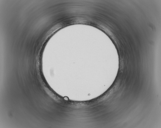 X0000112871042200910021328