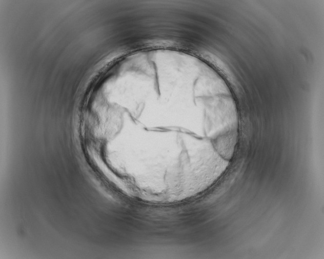 X0000112871043200910021328