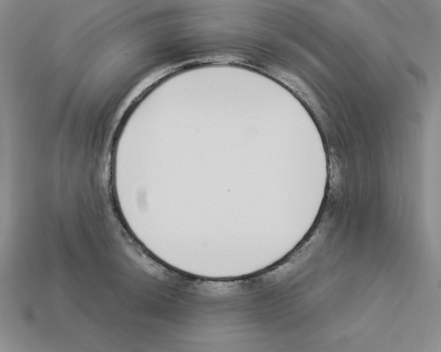 X0000112871044200910021328