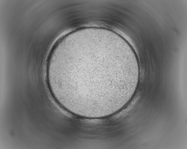 X0000112871045200910021328