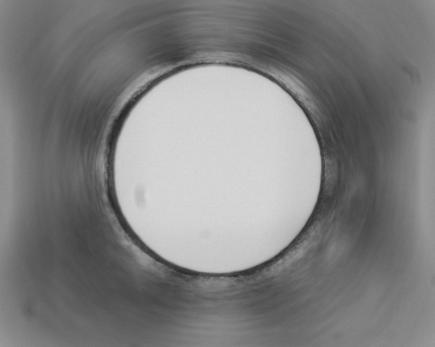 X0000112871046200910021328