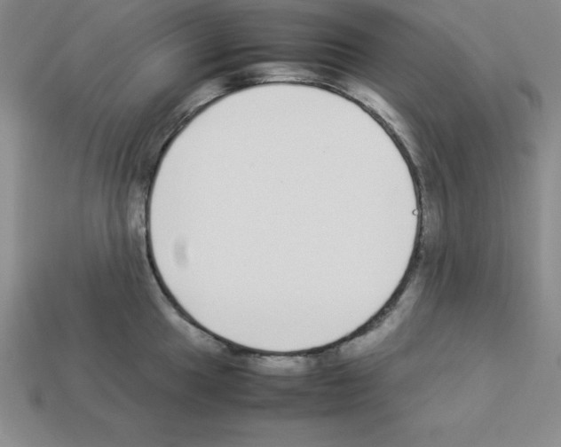 X0000112871049200910021328