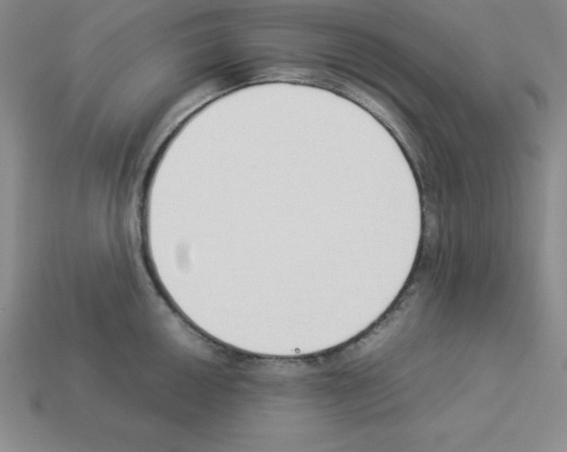 X0000112871050200910021328