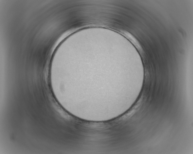 X0000112871052200910021328