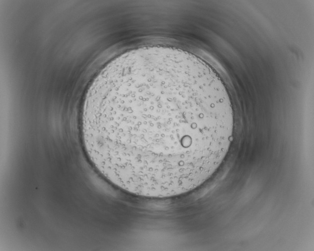 X0000112871055200910021328