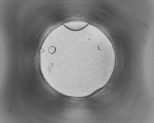 X0000112871056200910021328