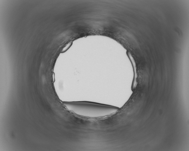 X0000112871057200910021328