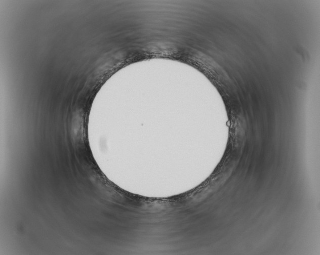 X0000112871058200910021328