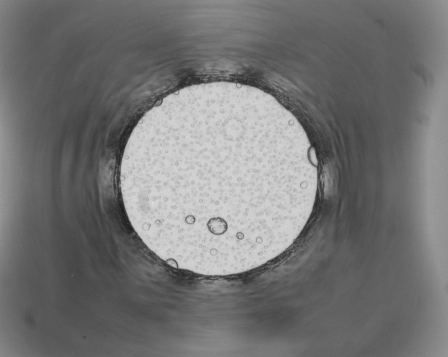 X0000112871059200910021328