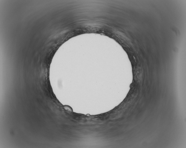 X0000112871061200910021328