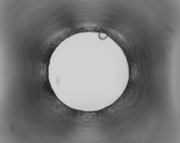 X0000112871062200910021328