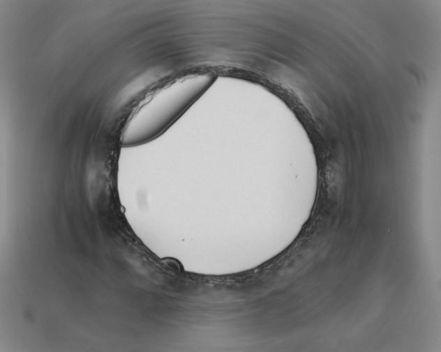 X0000112871064200910021328