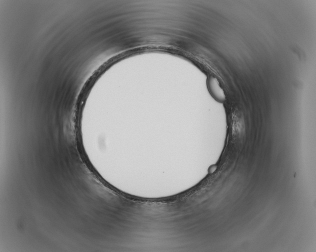 X0000112871068200910021328