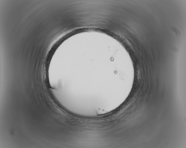 X0000112871069200910021328