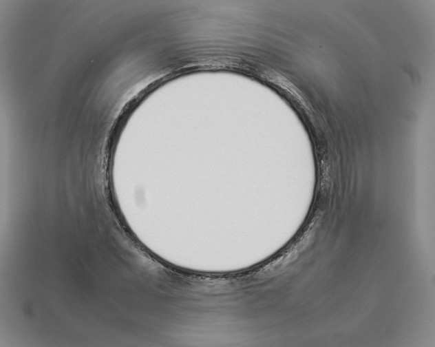 X0000112871071200910021328