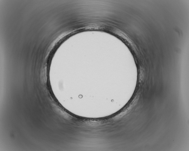 X0000112871075200910021328