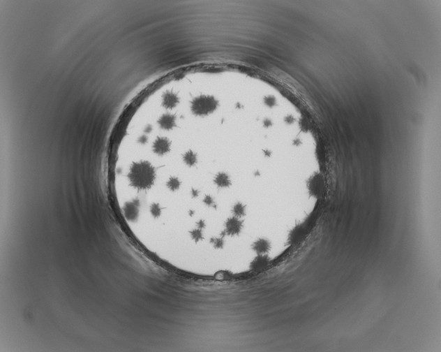 X0000112871076200910021328