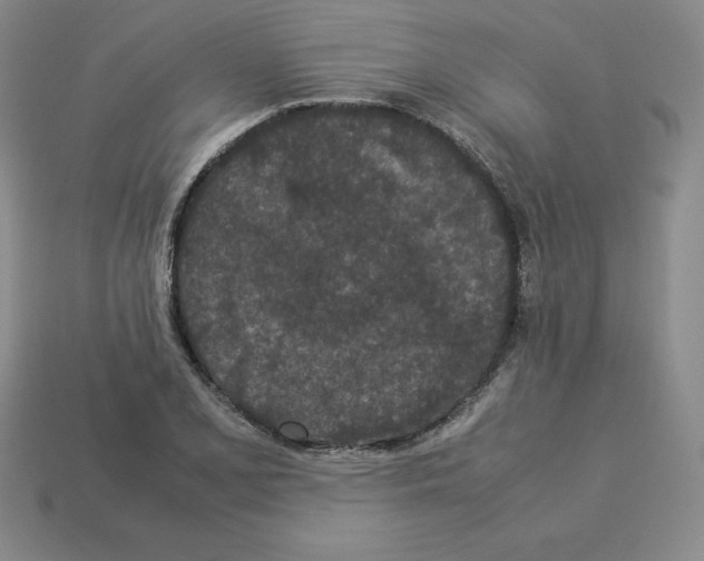 X0000112871077200910021328