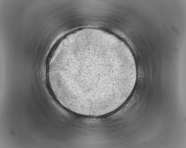 X0000112871083200910021328