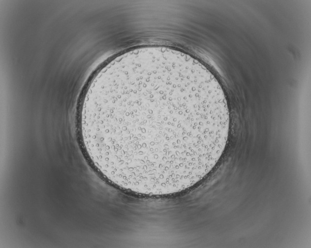 X0000112871087200910021327