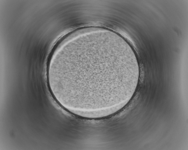 X0000112871088200910021327