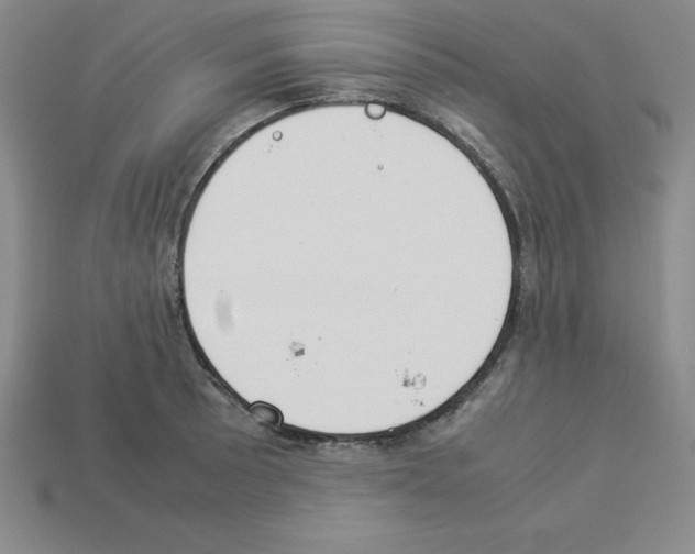 X0000112871089200910021327