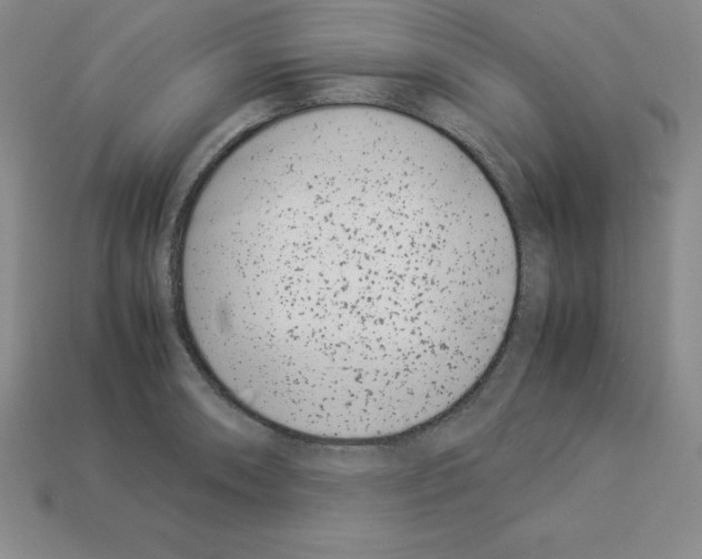 X0000112871090200910021327