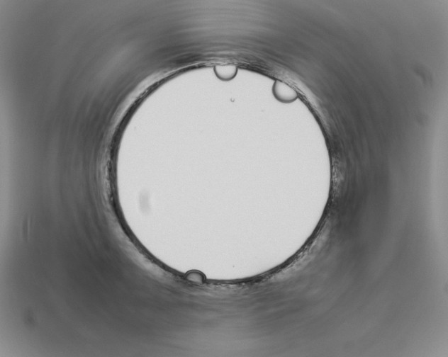 X0000112871091200910021327