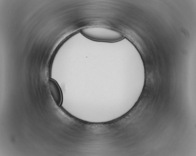 X0000112871092200910021327