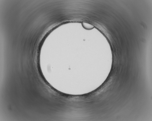 X0000112871093200910021327