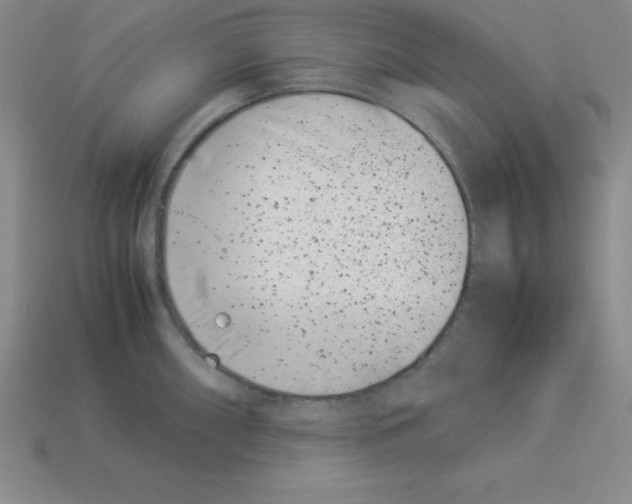 X0000112871098200910021327