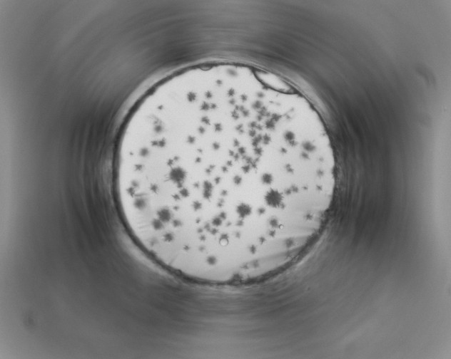 X0000112871100200910021327