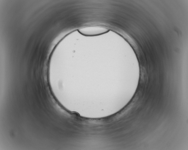 X0000112871102200910021327